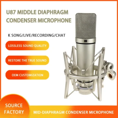 Professional recording studio noise canceling best sound quality studio microphone